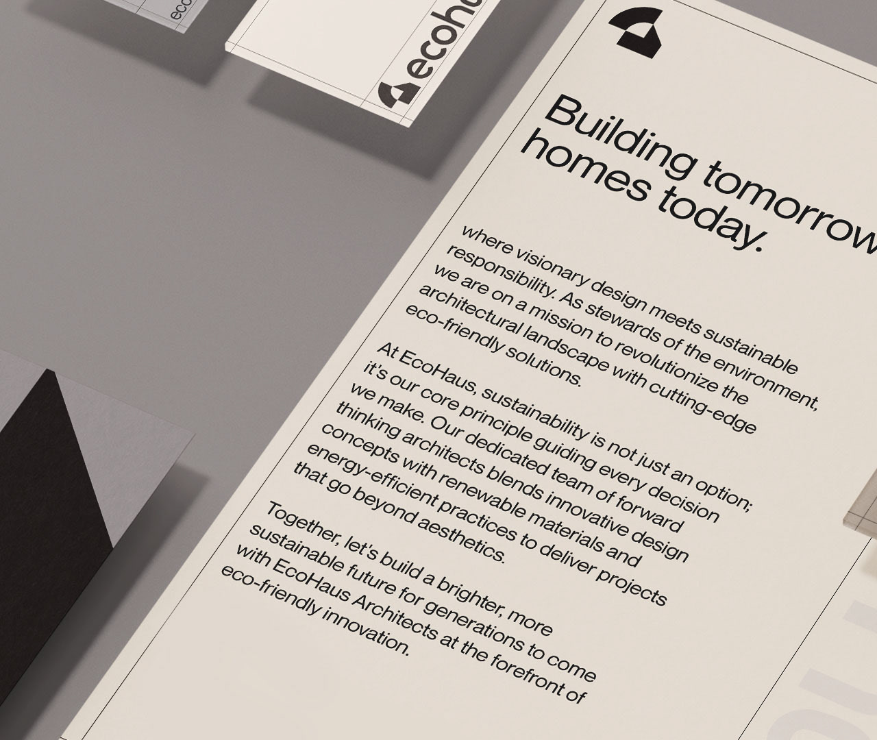 Architecture firm Magazine design - Ecohaus-11