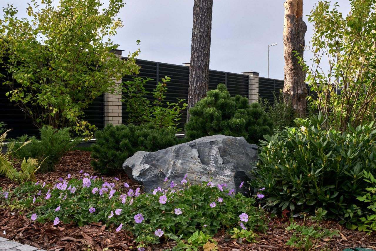 茉莉藓丨俄罗斯丨«ХВОЯ ландшафтное строительство»-10