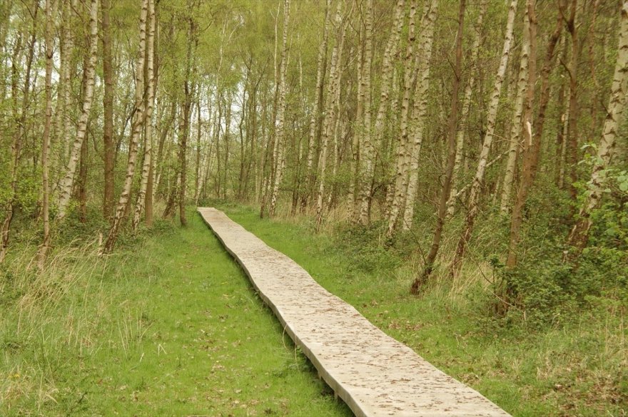 荷兰 Punt Ouddorp 自然和娱乐区丨BoschSlabbers-16