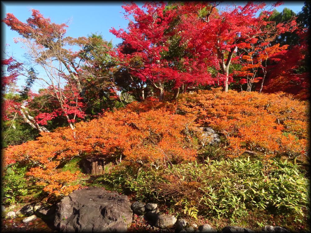 对龙山庄庭园丨日本京都丨七代目小川治兵衛-24
