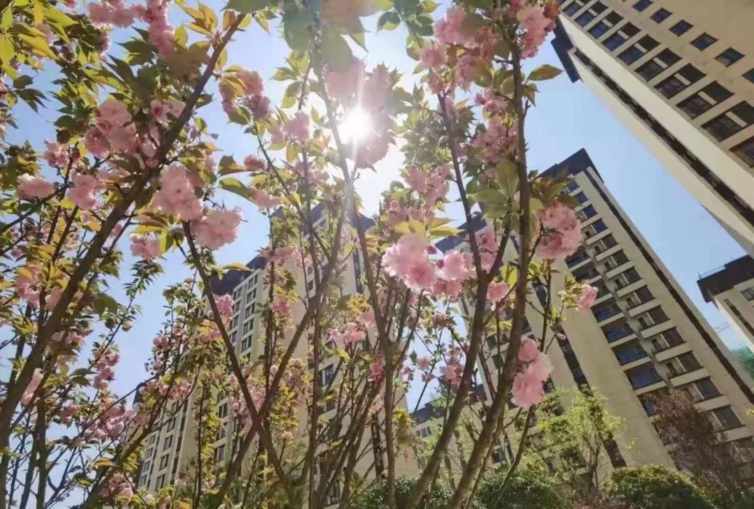 当家 | 九月，我们在抚州相遇-29