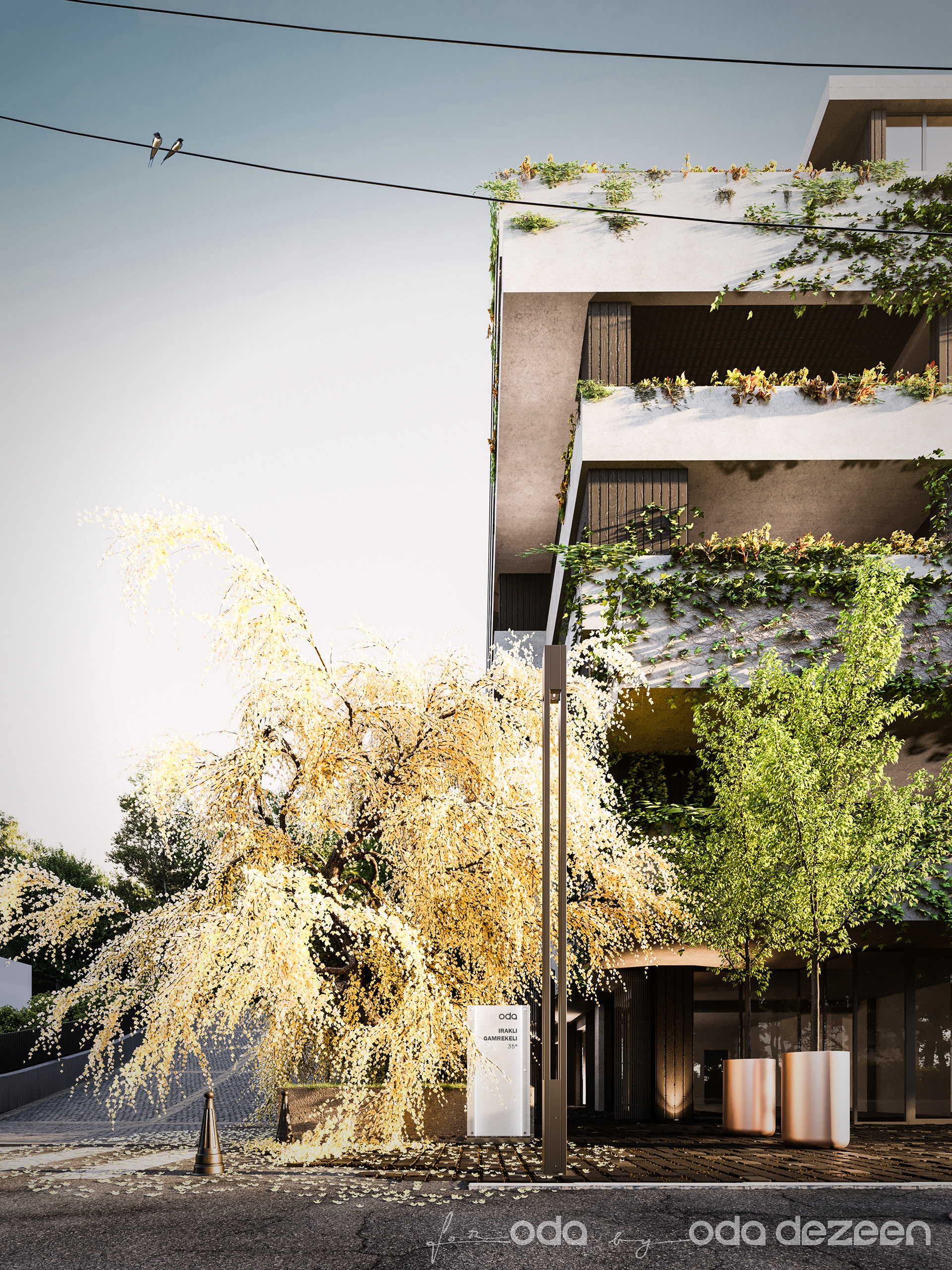 Gamrekeli 公寓丨ODA-9