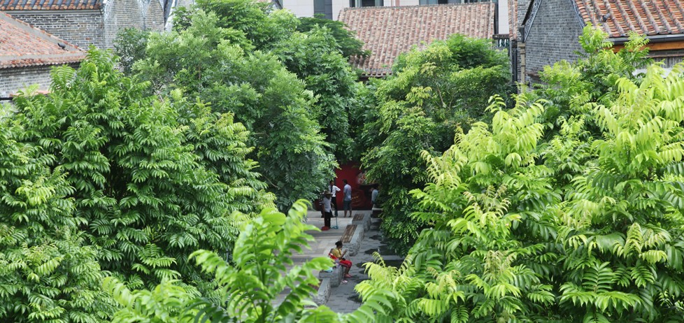 Lingnan Tiandi 岭南天地-1