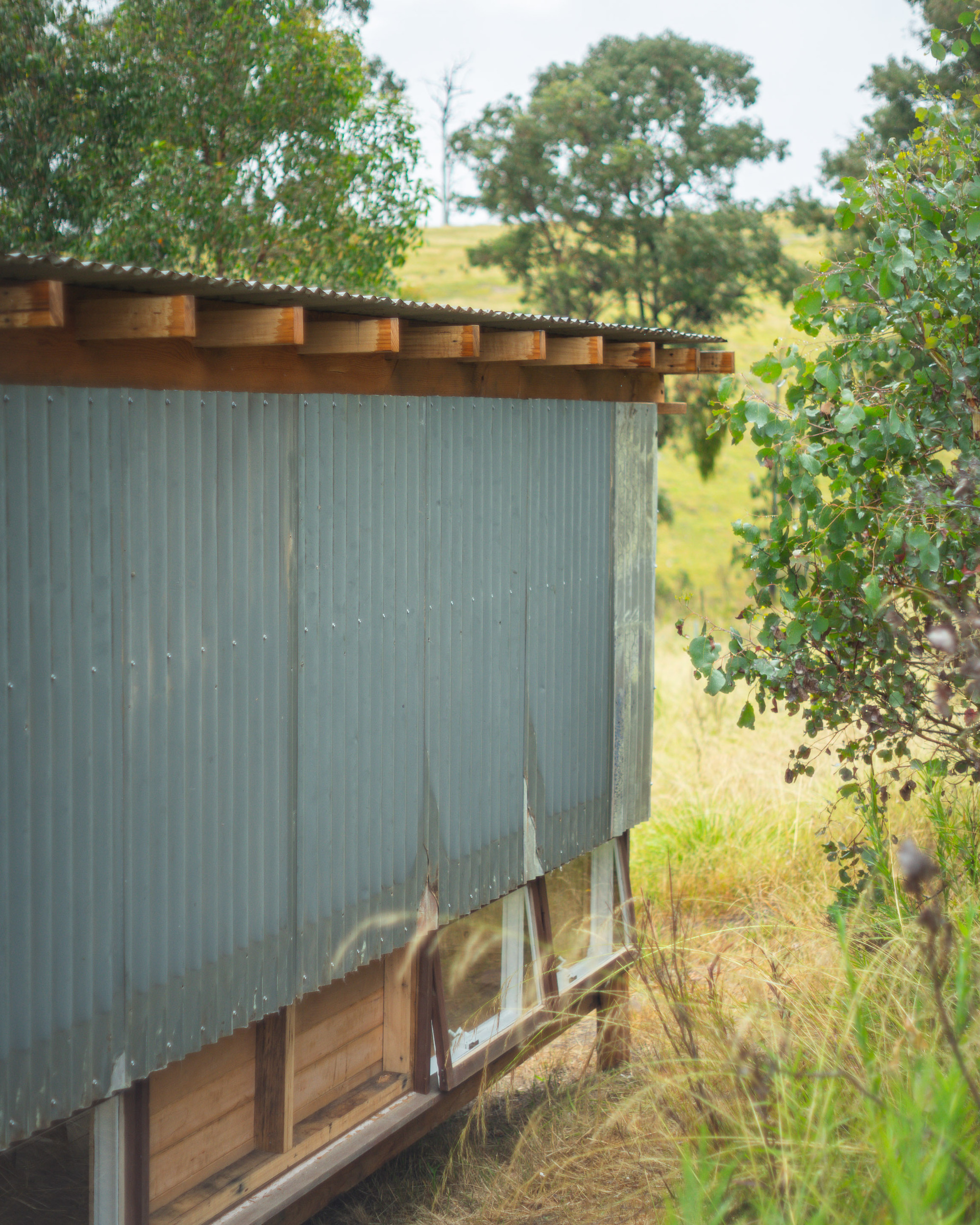 一个观看树木生长的地方丨澳大利亚丨Green Studio-28