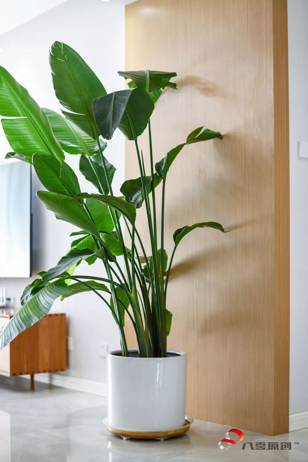 七年之痒,北欧风打造温馨家园-22