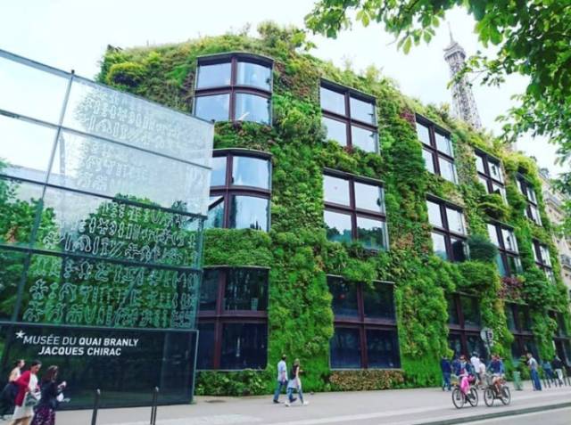 绿先生 | 把热带雨林搬进城市的垂直花园之父-45