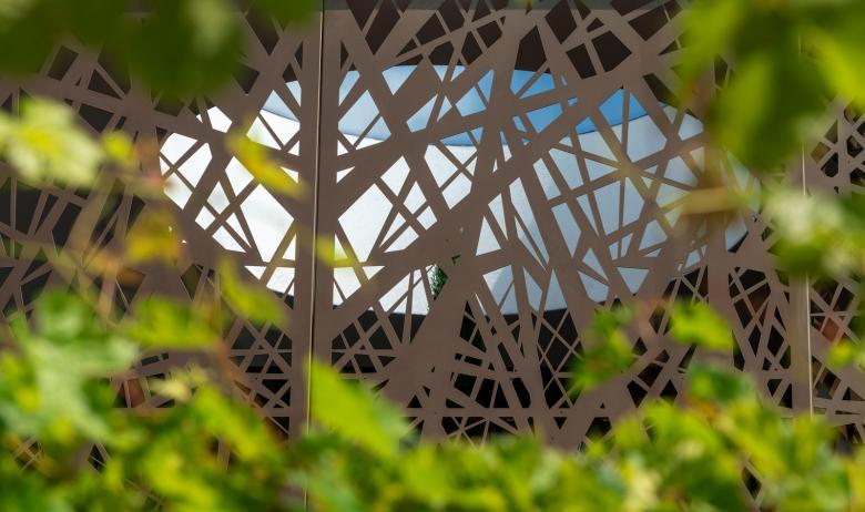 monovolume architecture + design丨House P2丨意大利-4