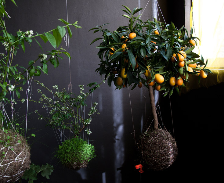 Fedor Van der Valk 打造室内绿洲 · 创意日本园林风格-19