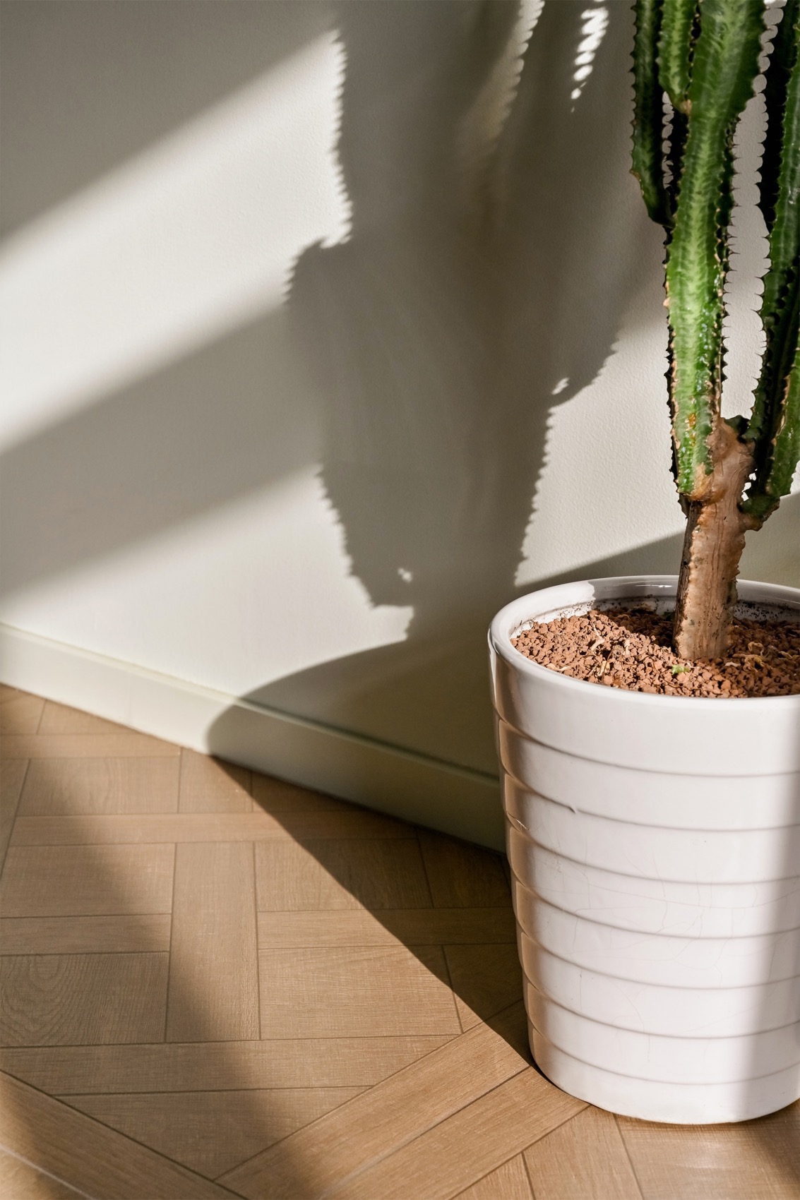 学者型公寓丨中国北京丨那漠含风设计-55