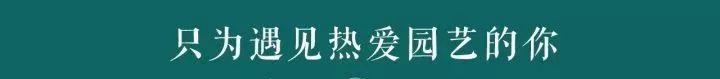 世界上最大的私家花园,迄今已有116年历史!-0