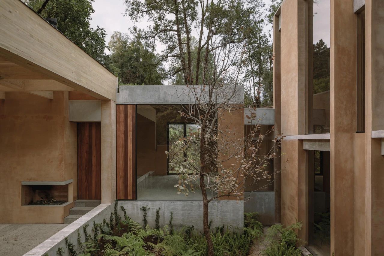 蕨类植物丨墨西哥丨Taller Hector Barroso-12