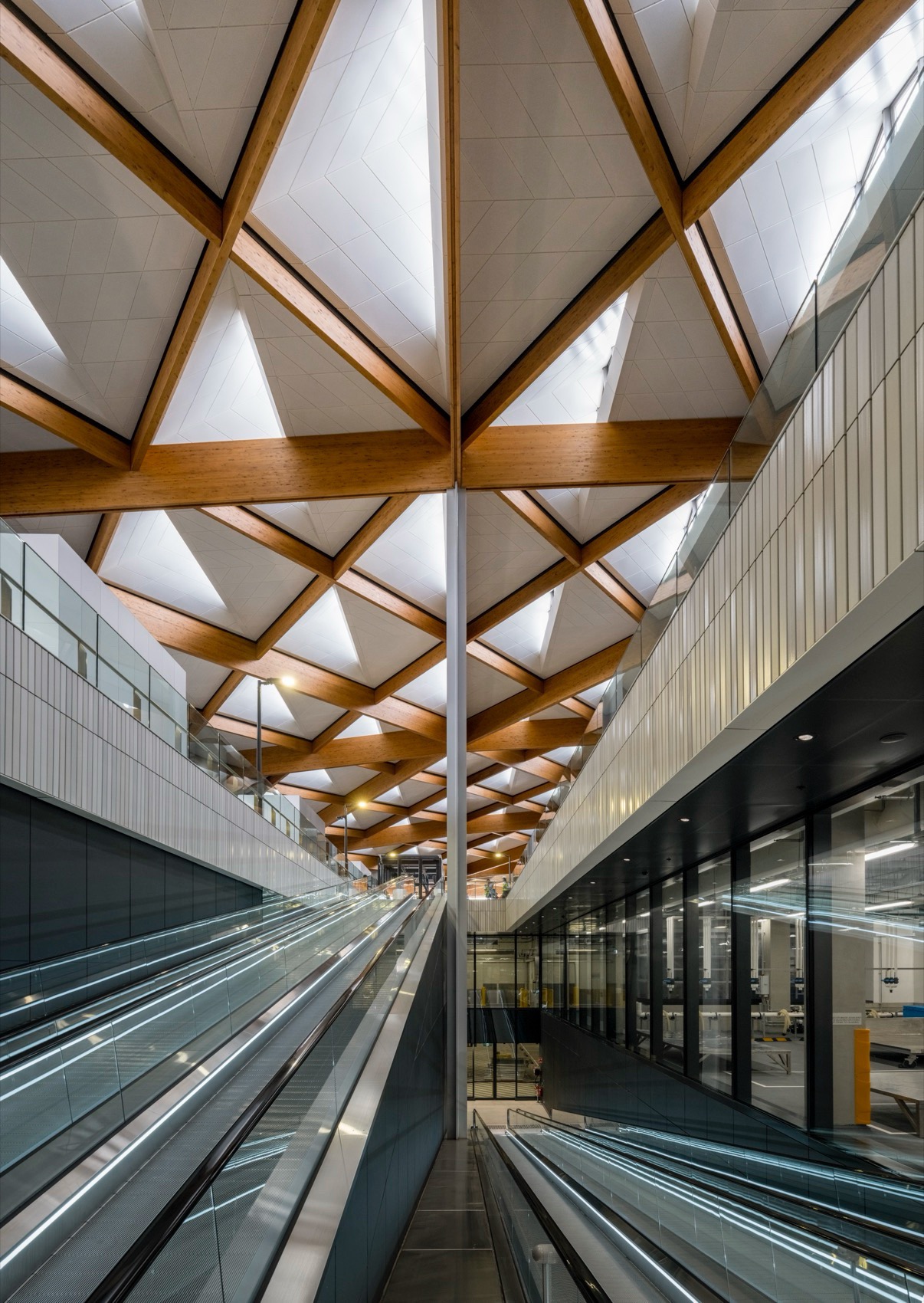 新悉尼鱼市场丨澳大利亚悉尼-27