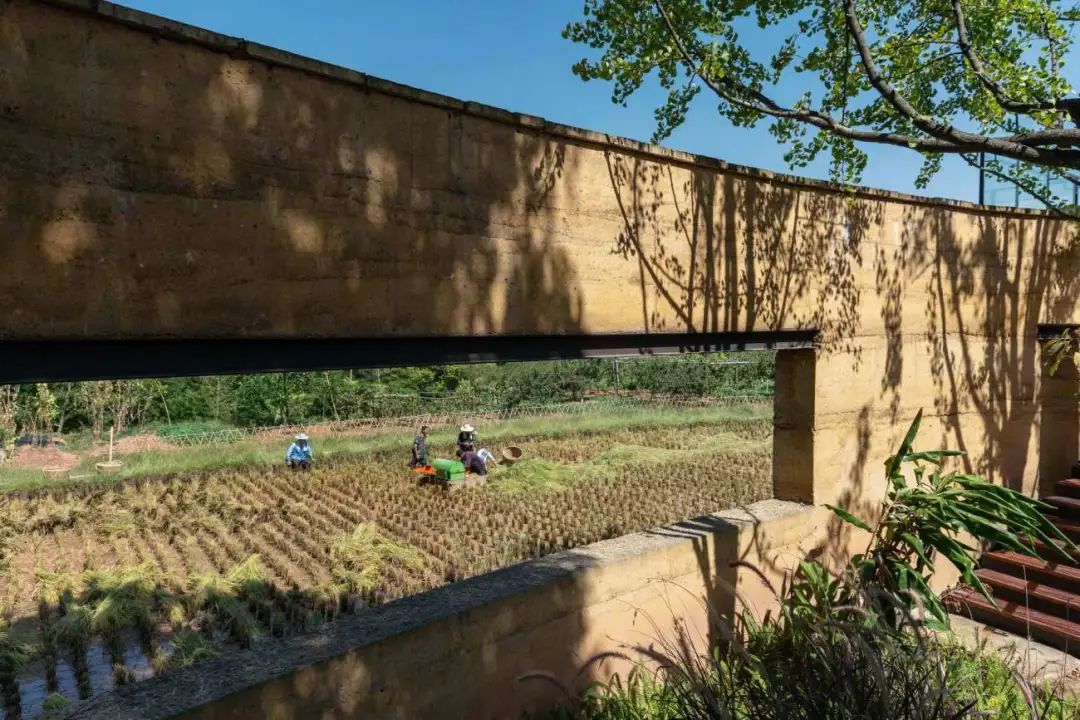 重庆·椒园丨中国重庆丨重庆尚壹扬装饰设计,重庆悦集建筑事务所-138