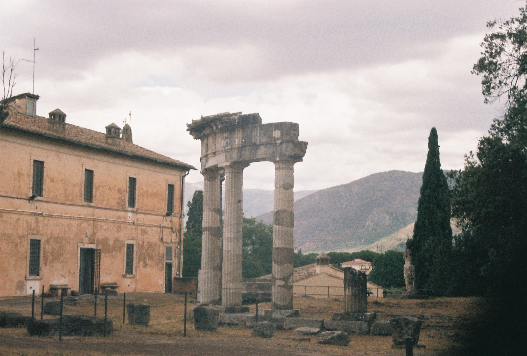 ANALOG TRIALS/ in italy-1