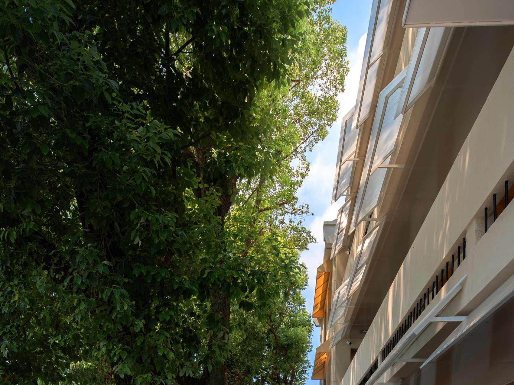 平江路松之屿民宿丨中国苏州丨咫间设计-17