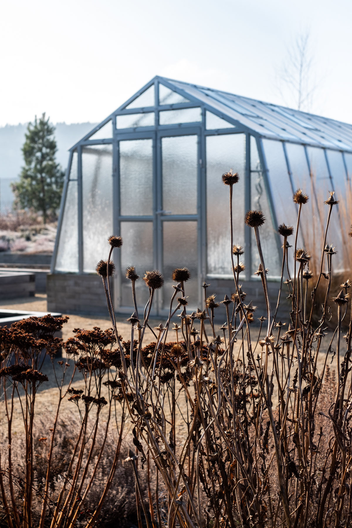 卡米克水库旁家庭住宅花园设计丨捷克-84