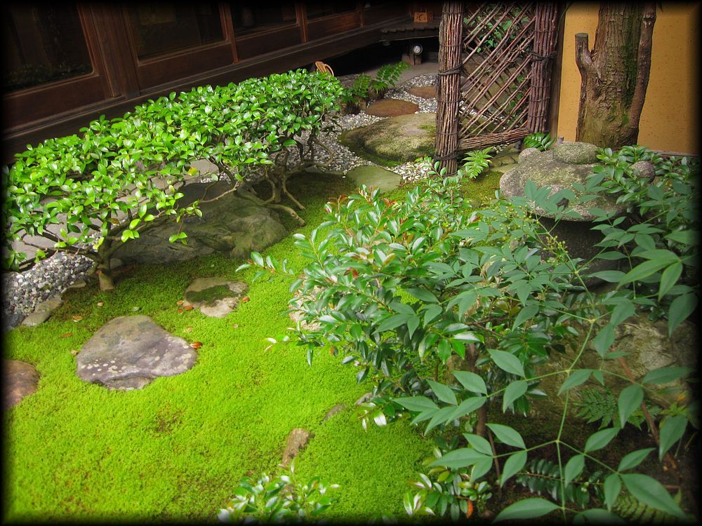 料理旅馆吉川丨日本京都-24