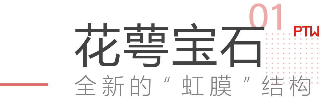 悉尼皇家植物园“花萼”建筑丨澳大利亚悉尼丨PTW Architects-8