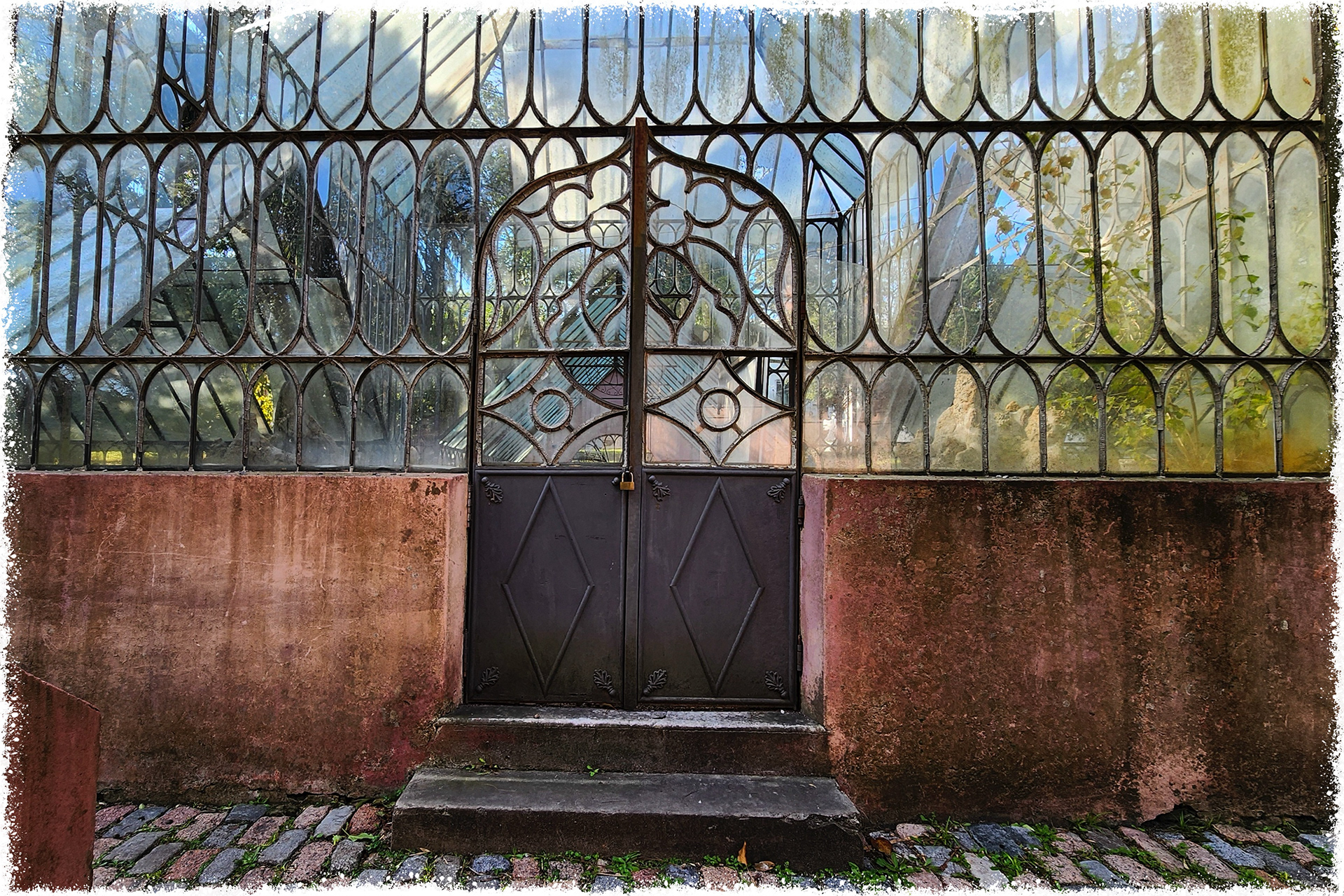 Old Greenhouse-9