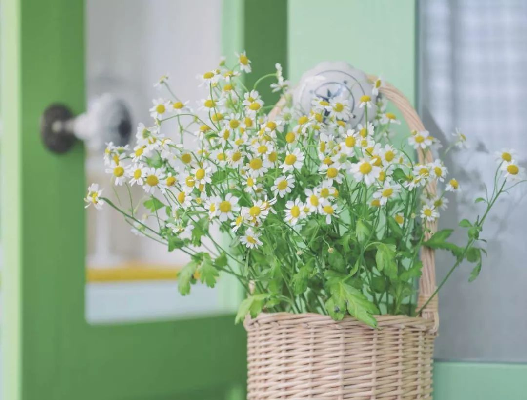 理性与感性交融的女设计师 | 许娜的现代简洁空间设计-54