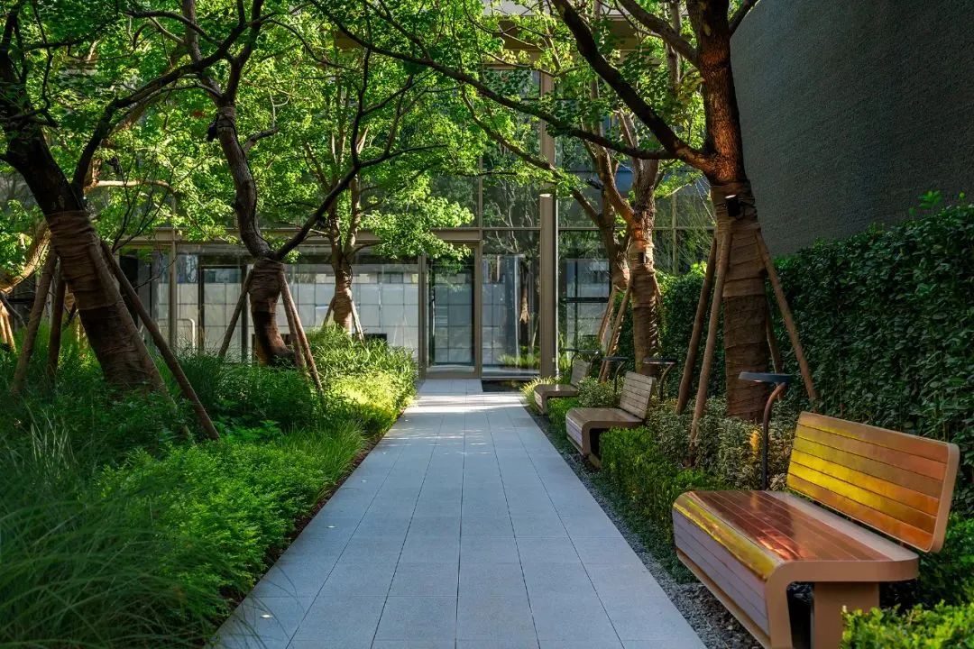 园路列植设计丨上景总工办-63