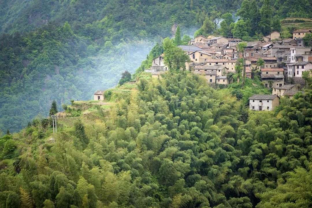 松阳原舍揽树山房 | 最后的江南秘境里的理想山居-8