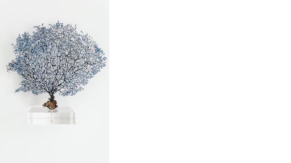 《豪斯医生》丨意大利米兰丨MMAPROJECTS S.R.L.-18