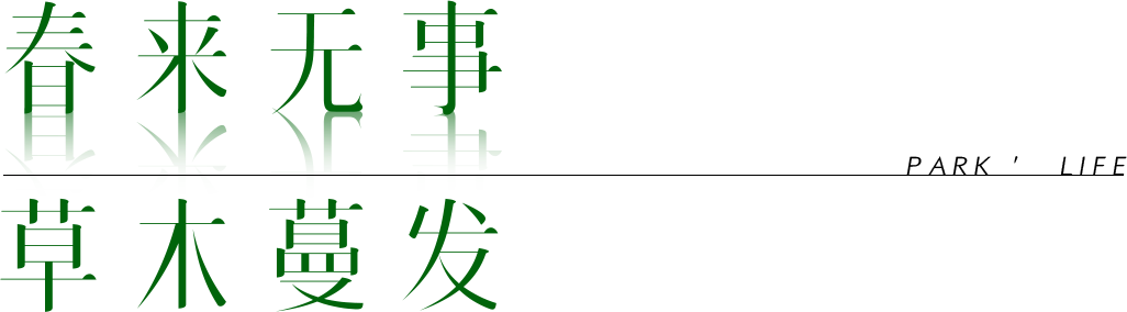 东莞 · 中海松湖云锦丨中国东莞丨奥雅股份深圳设计二所-7