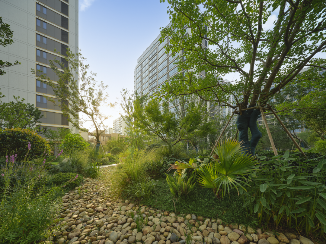 城就标杆|全龄共生，理想生活的日常诗篇-99