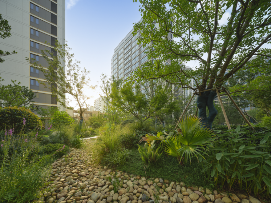 城就标杆|全龄共生,理想生活的日常诗篇-99