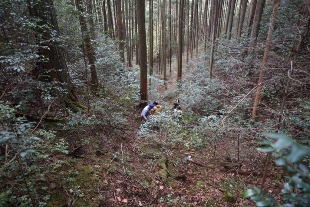 一宮の石場建て１　大黒柱伐採丨水野設計室-16