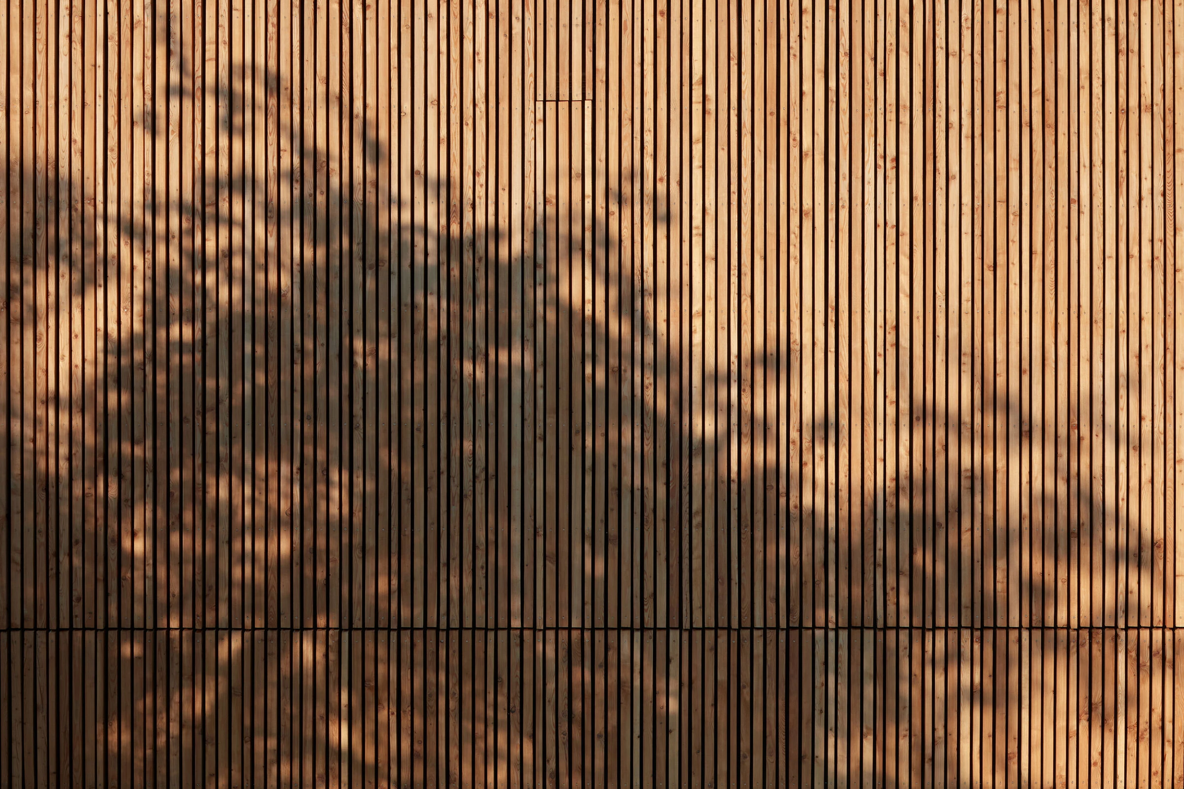 Nový Hrozenkov 小学体育馆丨捷克丨Consequence Forma Architects-67