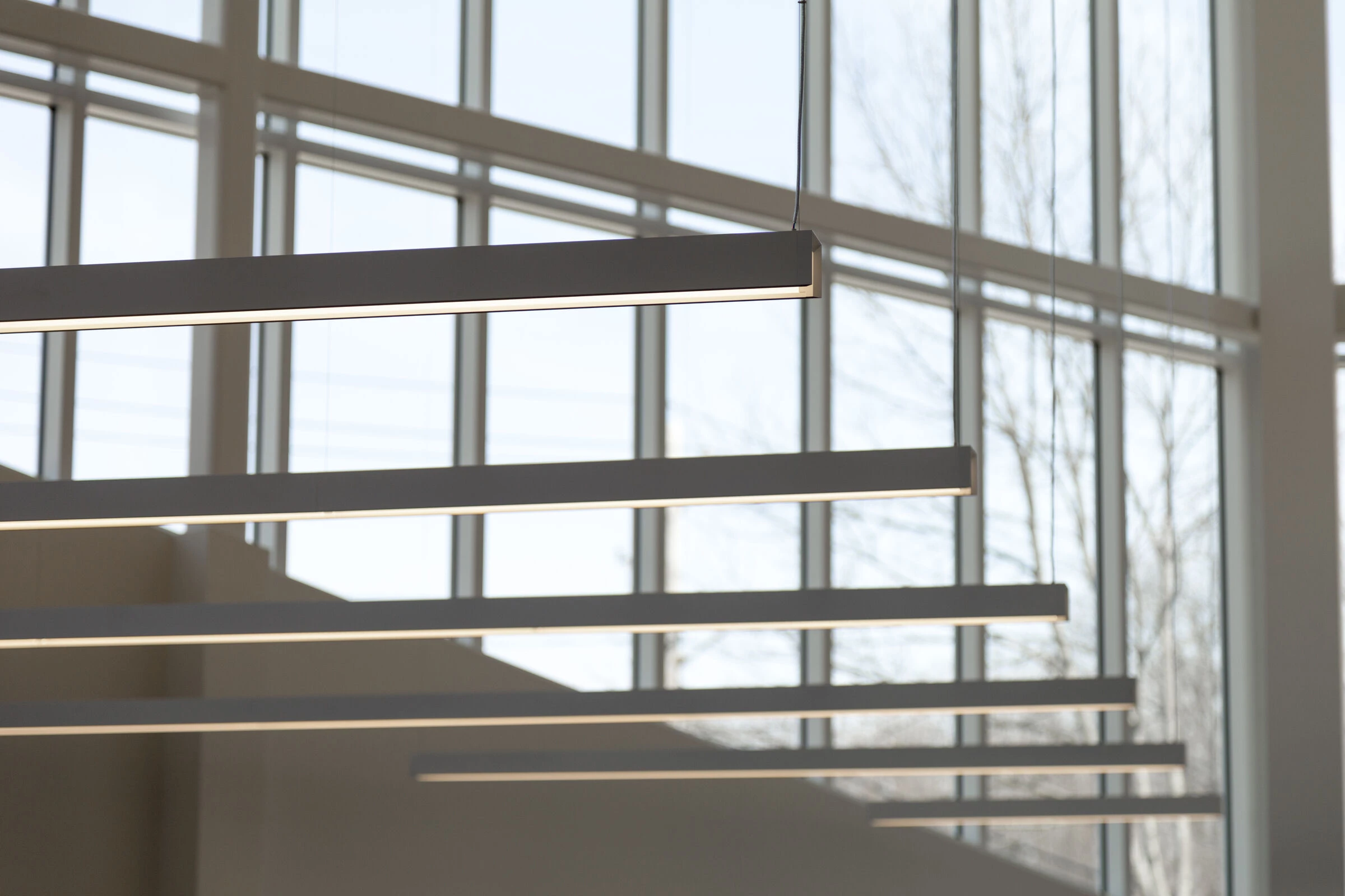 Christa McAuliffe 图书馆丨美国丨Finegold Alexander Architects-11