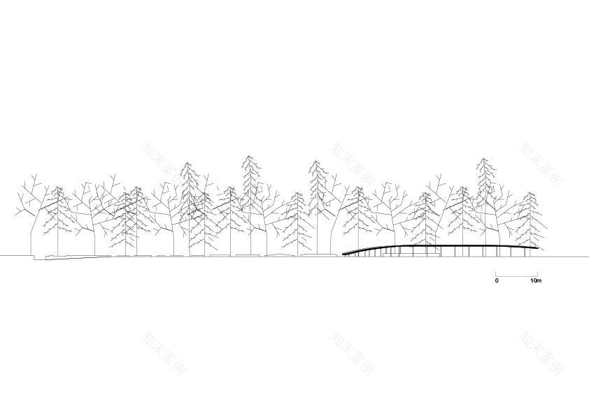 波兰 SGGW 植物园 JRK72 设计的现代展馆-9