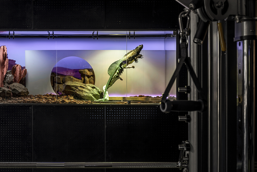 一然设计办公空间丨中国沈阳丨一然设计(上海,深圳,沈阳,北京)-23