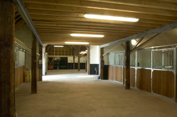 Hardenberg动物诊所项目-16