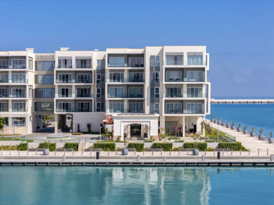 丨埃及丨Perkins Eastman-6