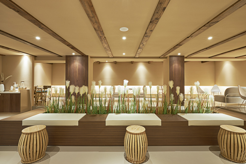 白蓝·伍德顿 | 高级 60 平卡普奈尔公寓设计-8