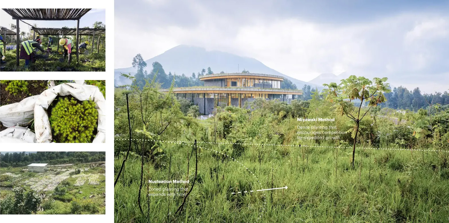 戴安·弗西基金会 & 艾伦·德詹尼丝园区丨卢旺达丨MASS Design Group + TENxTEN-44