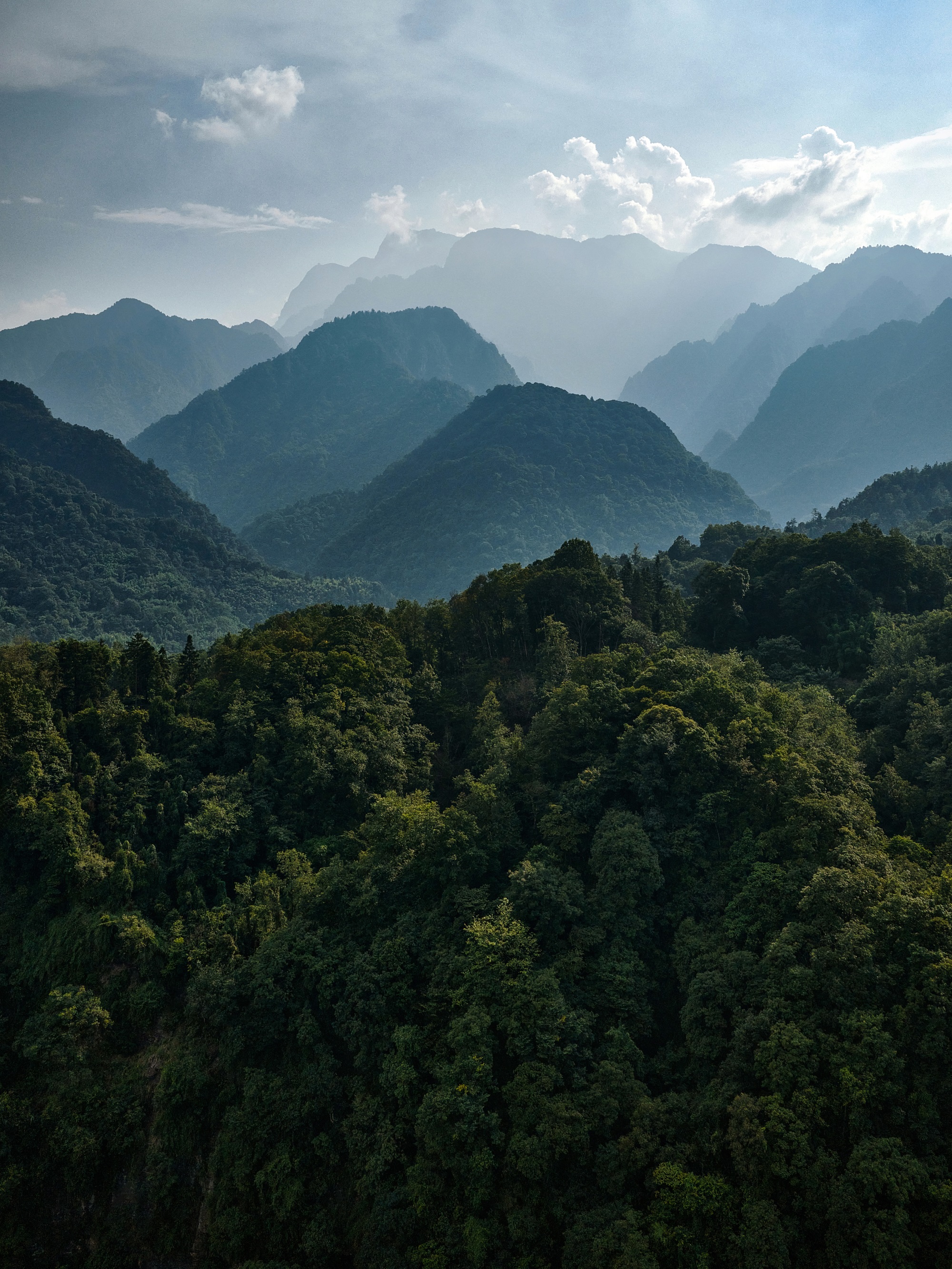岚域·峨眉山丨中国眉山丨Studio J. Bridgland-65