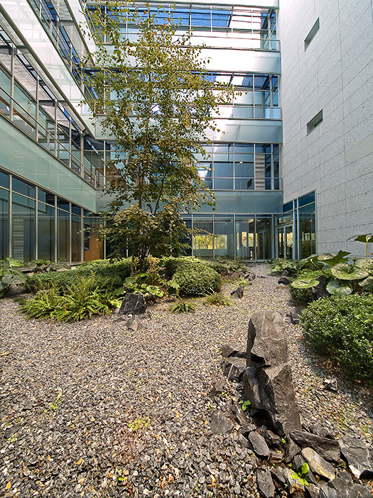 Madrid 办公大楼庭院花园 · 有机自然主义的设计实践-36