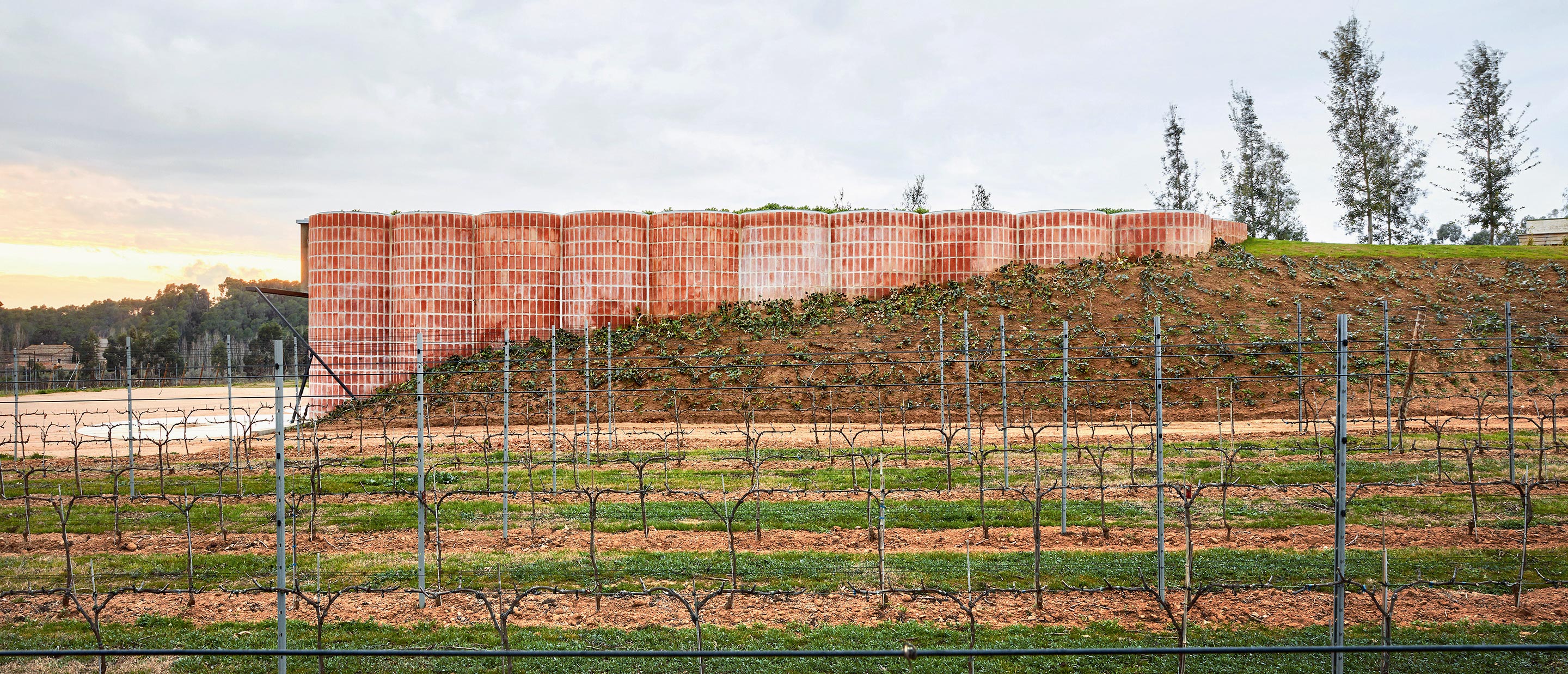 地缘酒庄 | 融入土地的工业风酒窖设计-0
