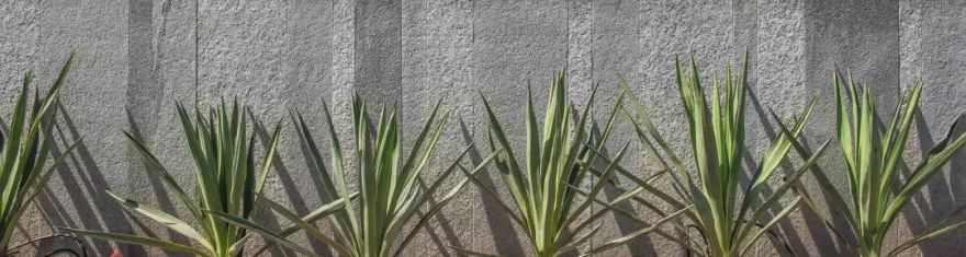 MEETTING CITY | 邂逅城市,和场地自然而然的产生共鸣-29