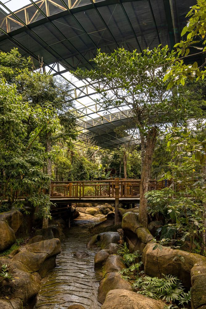 沉浸式动物园设计丨巴西圣保罗丨Alessandro Malara-10