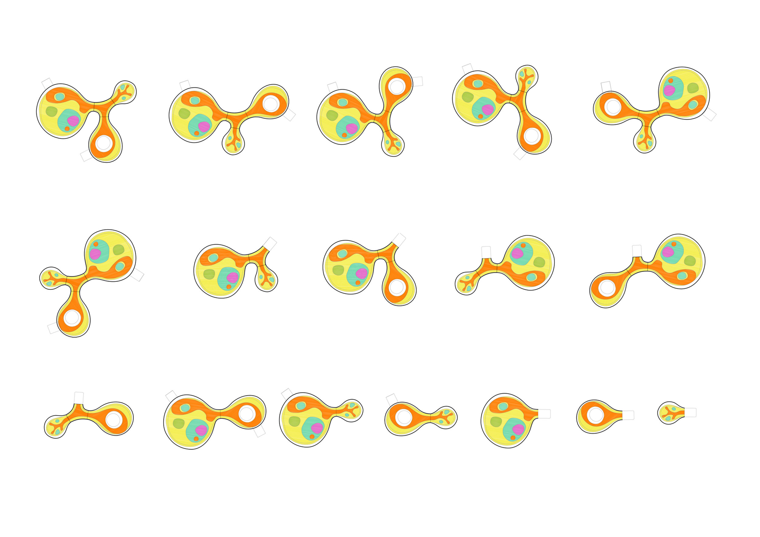 第二穹顶丨英国伦敦丨西班牙建筑事务所DOSIS-47
