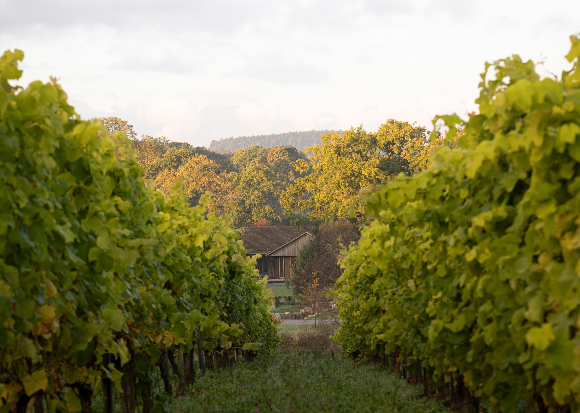 丨瑞典丨NORM Architects-39