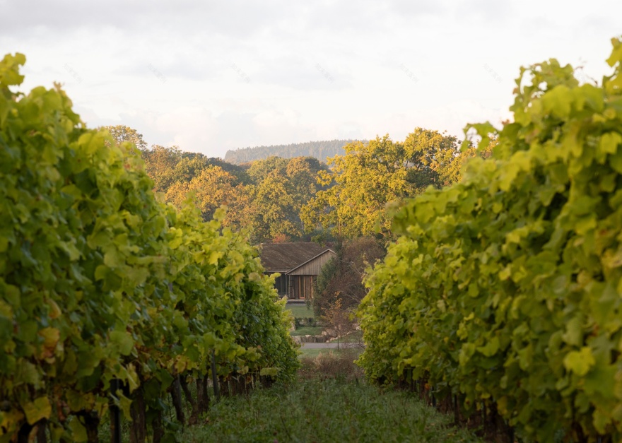 丨瑞典丨NORM Architects-39