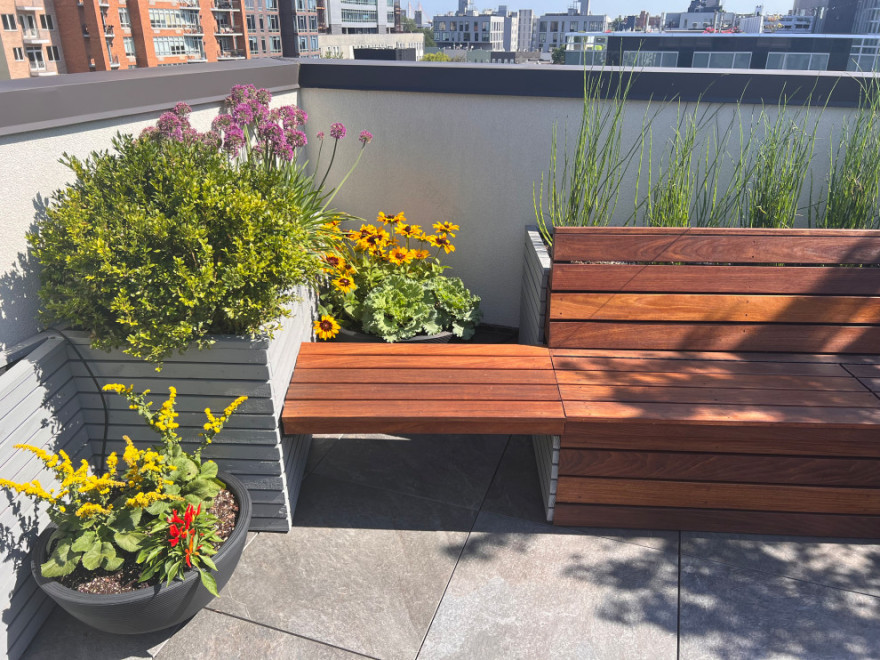 Williamsburg Roof Garden-20