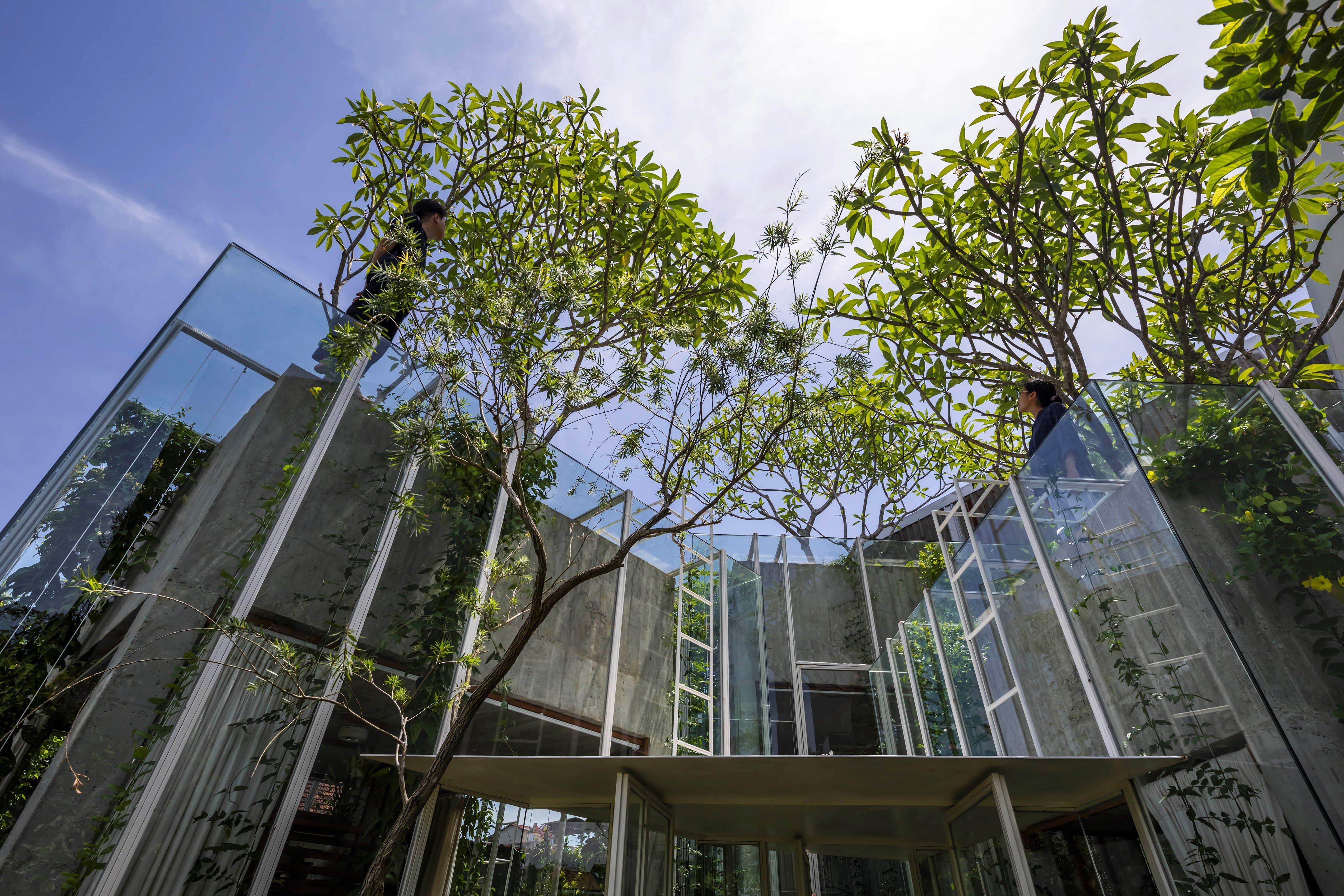 拉布里森林屋丨越南丨Nguyen Khai Architects & Associates-12