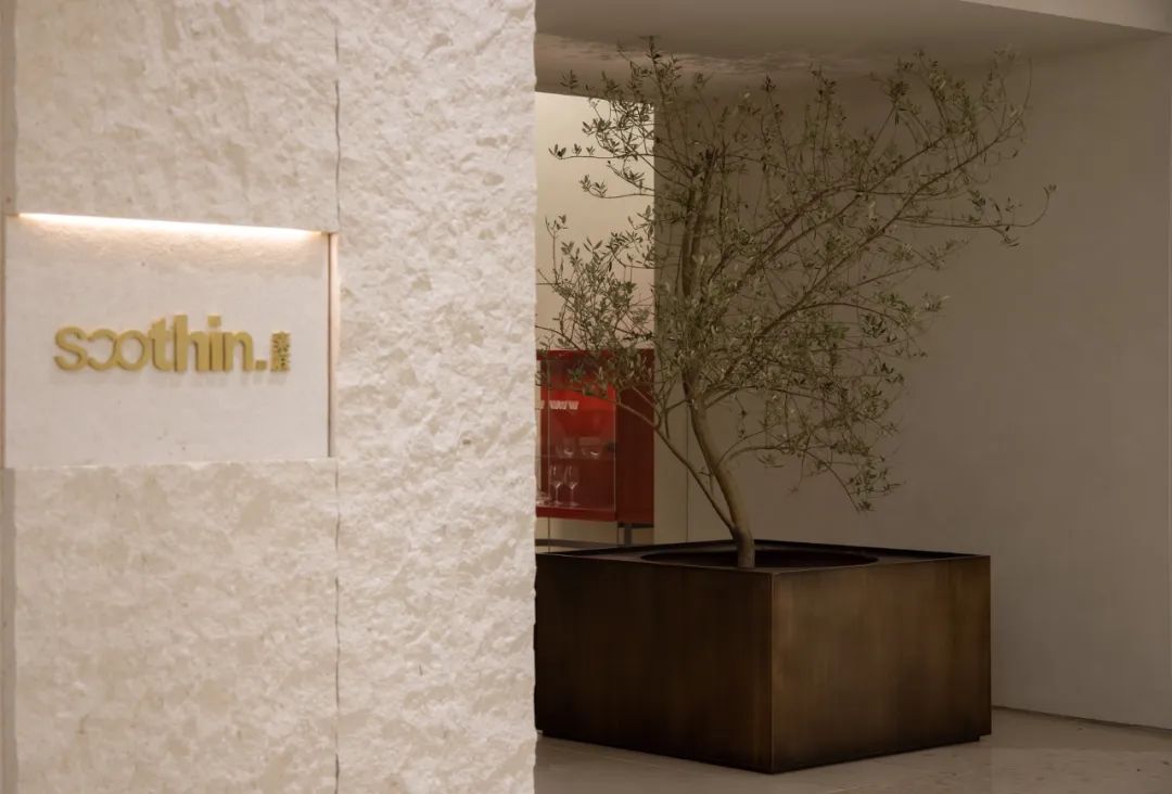 素庭旗舰店丨深圳市绽放品牌设计顾问有限公司-7